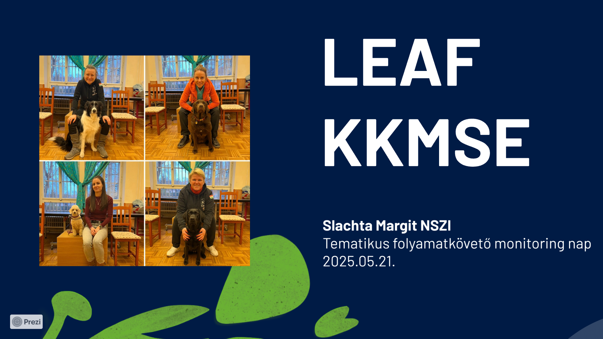 Leaf1